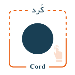 کرد سیلیکونی